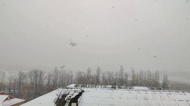 ПРИШЛА ЗИМА, СНЕГ - вместо дождя, туман со снегом. 27 ноября 2023 г. смотреть онлайн