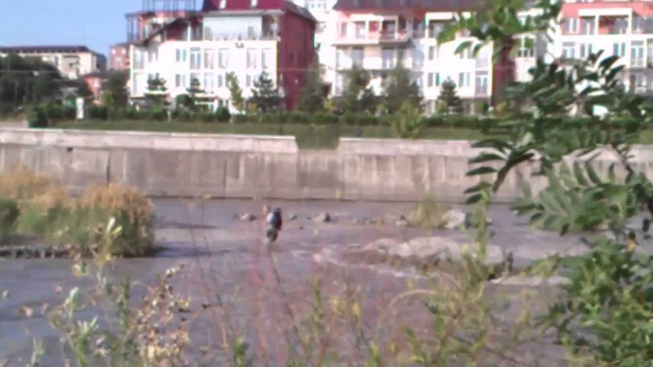 2а Сердце бьётся радостно