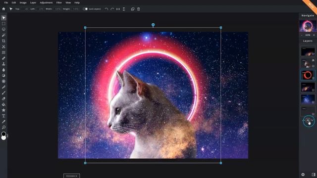 Galaxy Cat | Pixlr E смотреть онлайн