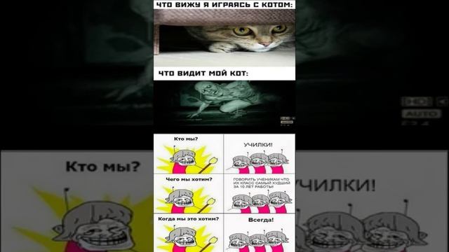 мемы смотреть онлайн