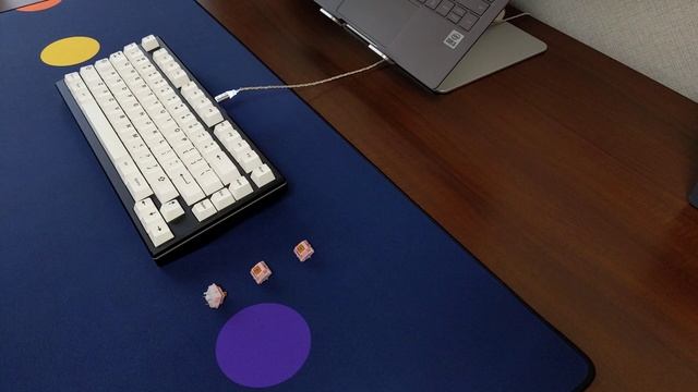 Whale 75 with Neapolitan Ice Cream stock vs lubed Typing Sounds смотреть онлайн