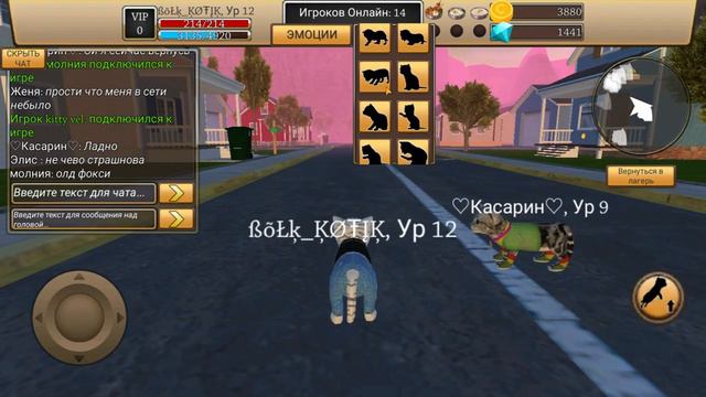 🐈🐱Симулятор кота жизнь животных и подруга Касарин🐱🐈 смотреть онлайн