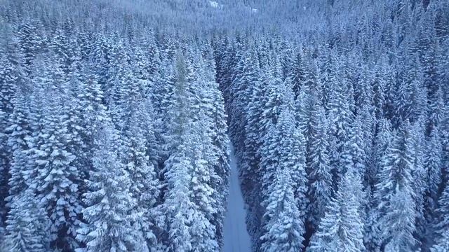 На юбилей жены муж решил познакомить с любовницей.. Шокированы были Все! | Жизненные истории о Любв смотреть онлайн