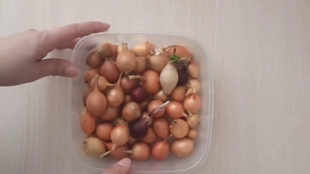 Выращивание своего севка, стоит ли заморачиваться? Часть 1 смотреть онлайн