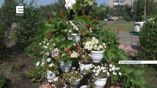 В Красноярске началось благоустройство улицы Вавилова смотреть онлайн