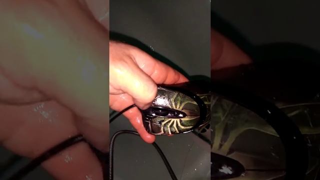 Как помыть мышку в идеале !!! смотреть онлайн