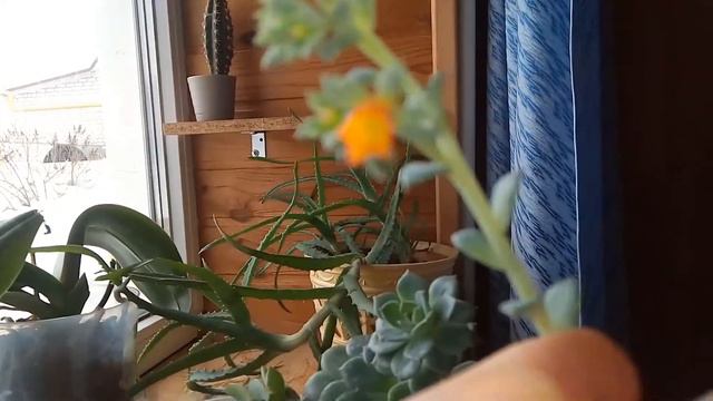 Ещё немного о цветах. смотреть онлайн