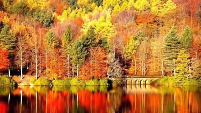 Нина Бродская - Осенняя встреча смотреть онлайн