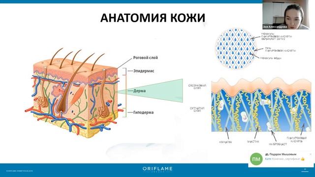 Интенсив по NovAge 01.12.2021 смотреть онлайн