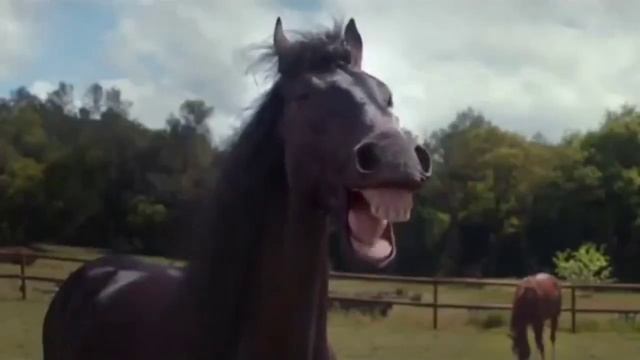 Ну чооооо порвались штаны? Или они сами открылись? смотреть онлайн