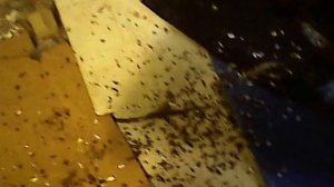 дробилка для пэт бутылок