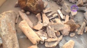 Ученые аж присели! Найден 12 - ти метровый ЧЕЛОВЕК ВЕЛИКАН который перевернул мировую историю