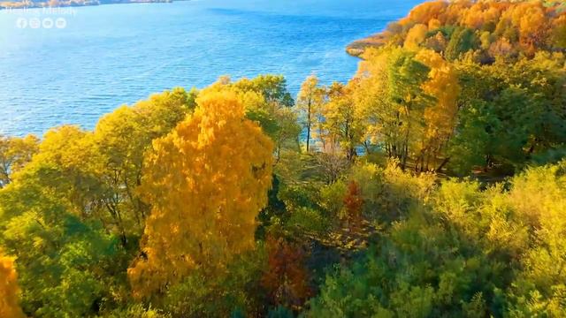 La Música Relajante Cura El Estrés, La Ansiedad Y La Depresión 🌿 Cura La Mente, El Cuerpo Y El Alma смотреть онлайн