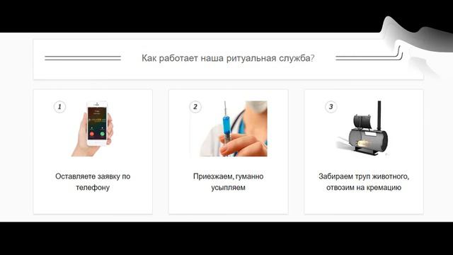 Усыпление и кремация животных в Балашихе