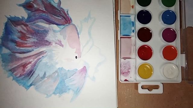 Рисую рыбку-петушок смотреть онлайн