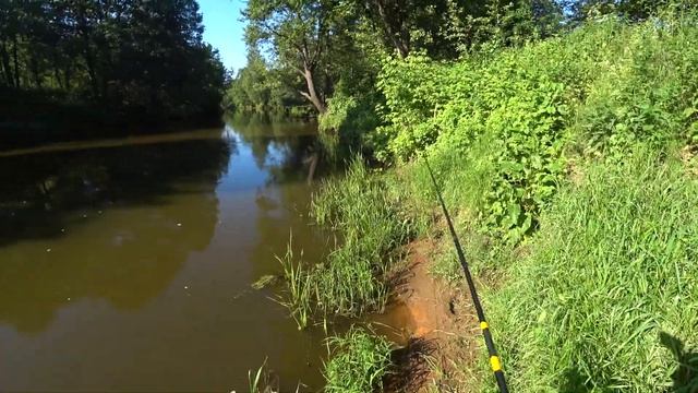 РЫБАЛКА НА ЩУКУ С БЕРЕГА. Упираюсь в джеркбейты джерк Buster Swim джерк Zalt Z и джерк Jolly Dancer смотреть онлайн