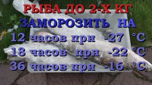 Как избавится от паразитов в рыбе