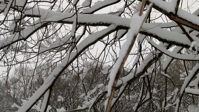 Не знала смотреть онлайн