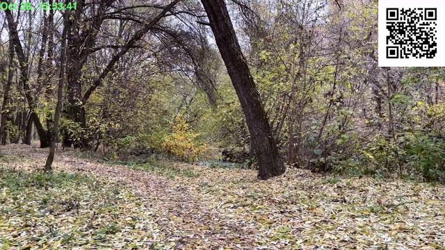 Запад Москвы – Долина реки Сетунь смотреть онлайн