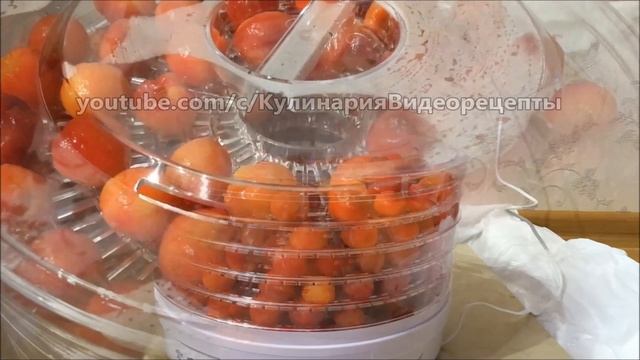 Веганские Рецепты