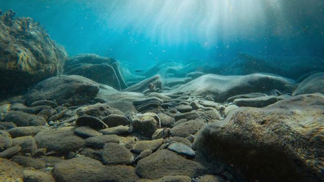 Deep Ocean White Sounds For Sleep | 3 Hours Underwater Ambience |  Deep Sea Soundscape