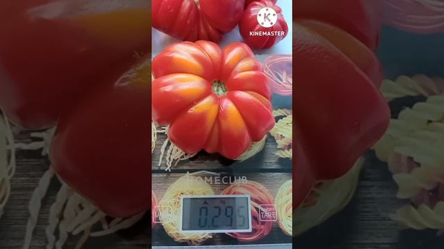 #shorts #томат грибное лукошко??? смотреть онлайн