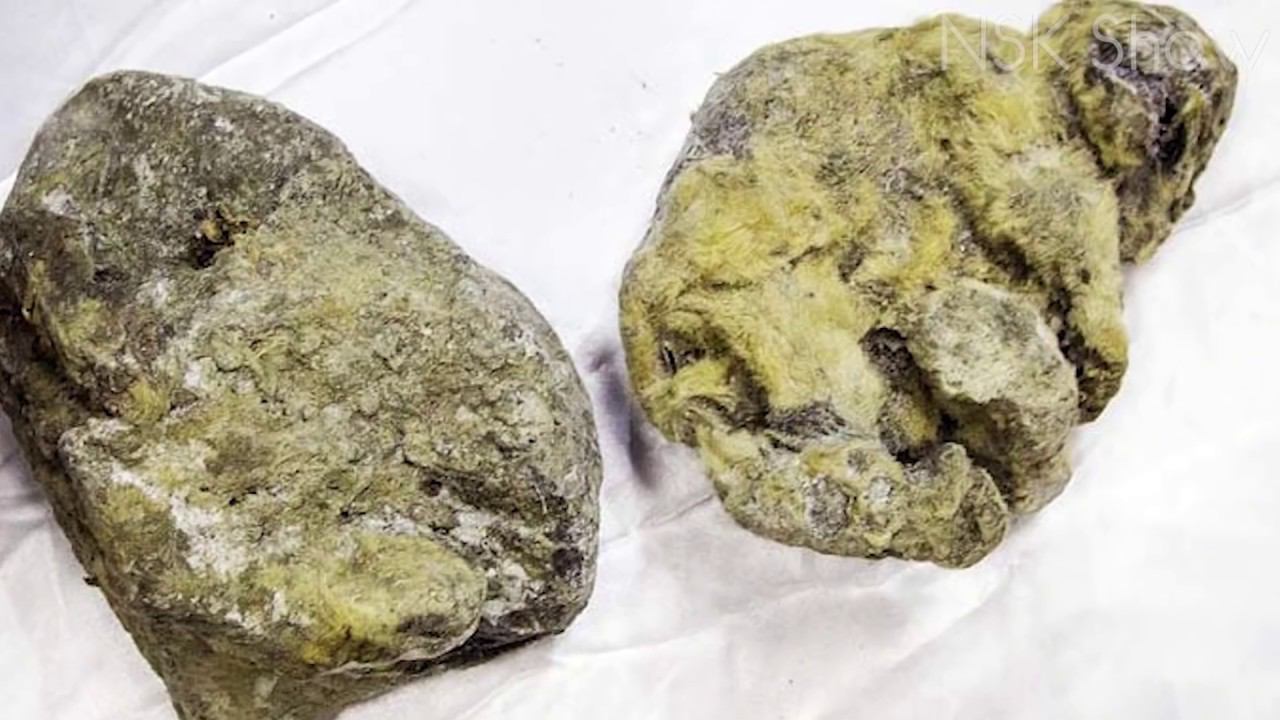 5 ШОКИРУЮЩИХ НАХОДОК ВО ЛЬДУ смотреть онлайн