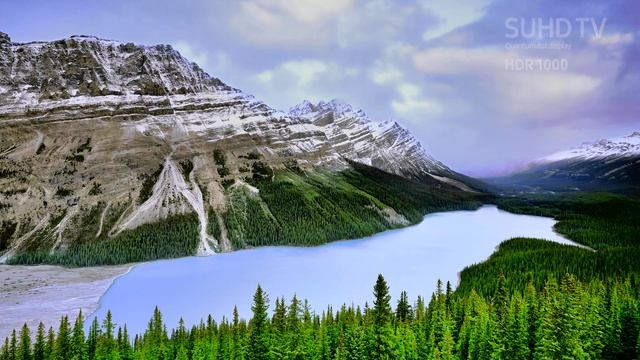 Samsung 4K Video Wonderland 4К Видео Страна чудес in DTS 4K UHD 60 FPS 2160 x 3840 смотреть онлайн