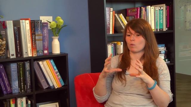 Ingrid Talks About Order of Operations - Intro to Java Programming смотреть онлайн