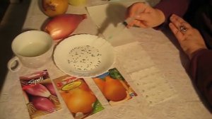 ПОДГОТОВКА СЕМЯН ЛУКА ЭКСИБИШЕН  ДЛЯ  ПОСЕВА РАССАДЫ