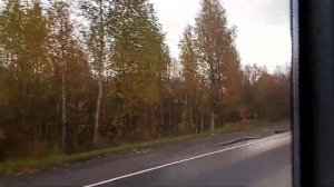 Автобус 327. А/с «Улица Грибакиных» - г. «Колпино», Заводской проспект.