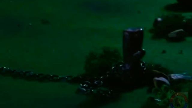 The Chained Elephant - By Jorge Bucay смотреть онлайн