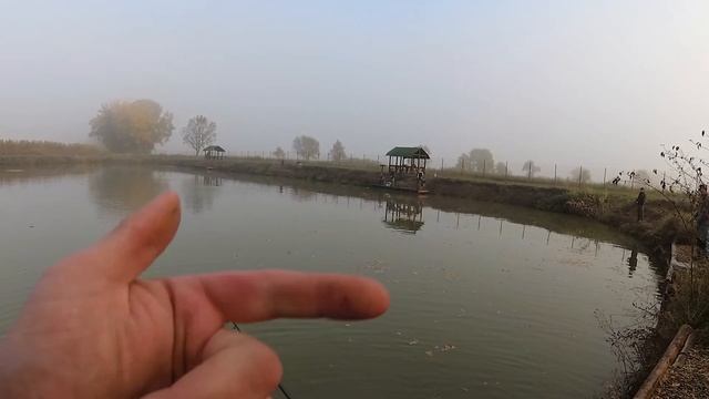 Ловля прудовой форели рядом с Краснодаром. Рыбалка в Адыгее смотреть онлайн