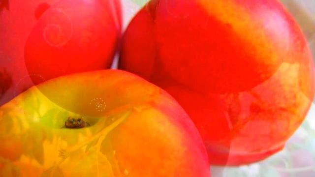 Стройка Вдохновение