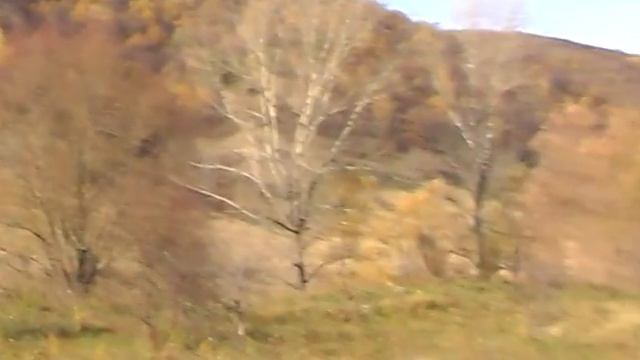 По дороге на Гаврилову поляну смотреть онлайн