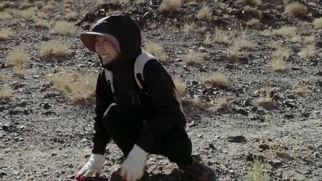 Tracing the Gobi Bear | Go Wild смотреть онлайн