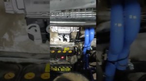 ЗМЗ 409 про с родным блоком управления на ГАЗели Бизнес