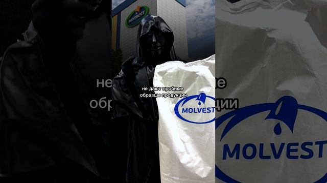 Молвест Протеин КСБ80 | Обзор | Отзыв | Анализ | Содержание белка | Экспертиза #shorts смотреть онлайн