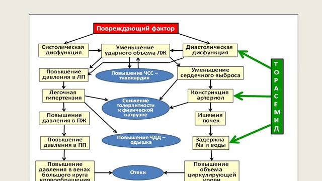 ХСН с сохраненной фракцией выброса левого желудочка Лечение Часть 3 Петлевой диуретик смотреть онлайн