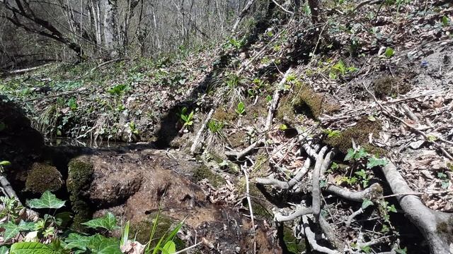 Сварга - звуковая медитация с визуализацией под варган. смотреть онлайн