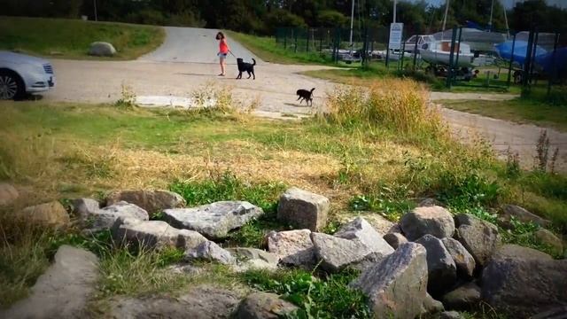 Шлезвиг-Гольштейн. На земле викингов. Schleswig- Holstein смотреть онлайн