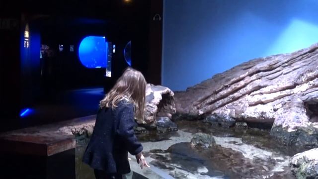 Кулинарное Мастерство