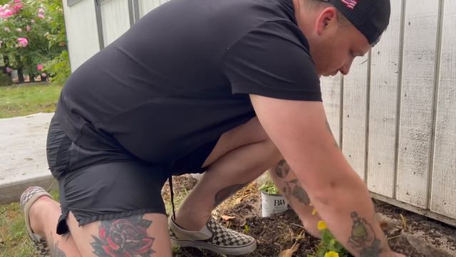 Planting Lots Of Proven Winners Supertunia 😍🌱