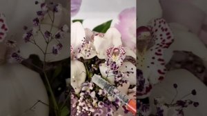 Как ухаживать за букетом из срезанных орхидей дома