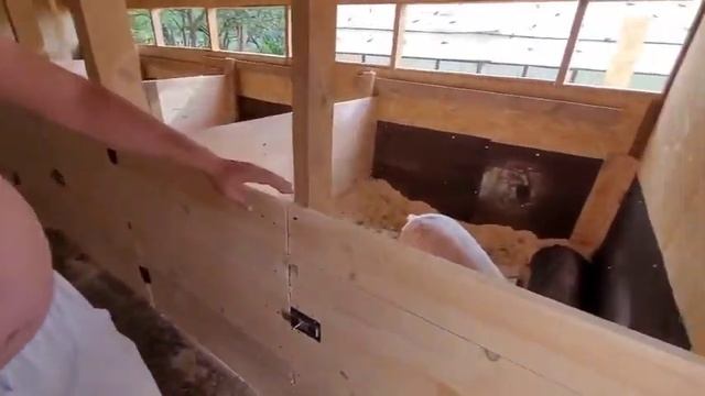 «Свинарник» строим своими руками ????? часть 3
