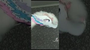 ?драконы из ТТ?          Добьём актива?))