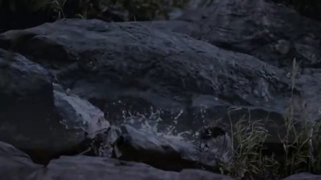 Музыка для Зодиака "ТЕЛЕЦ" смотреть онлайн