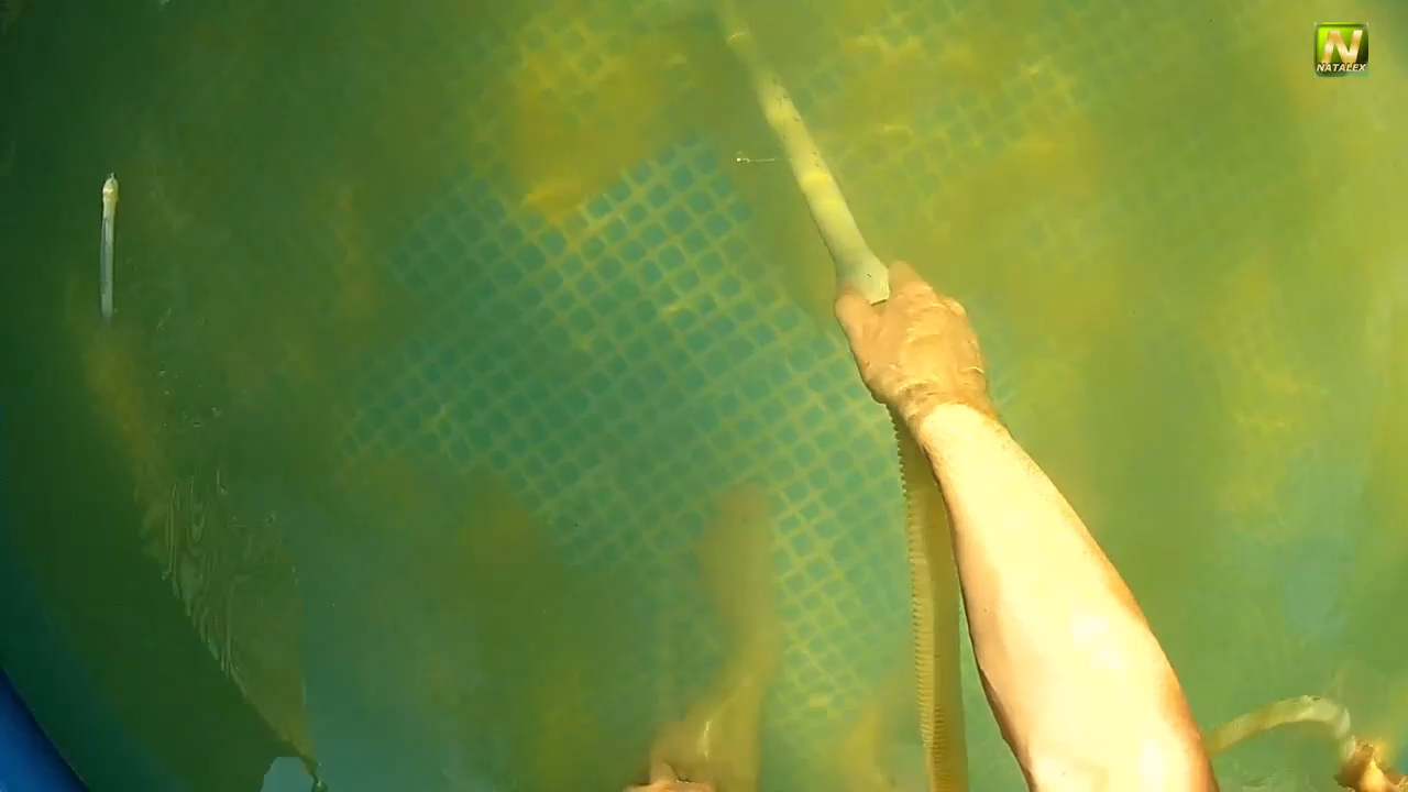 [Natalex] Пылесосим бассейн...