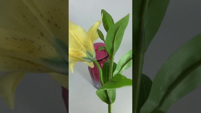 обзор лилии желтые. Товар здесь: https://zhanghua.ru https://avito.ru/brands/i308016678 смотреть онлайн