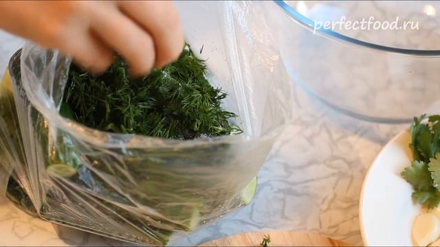 Наука о Здоровье и Жизни